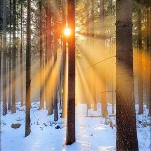 Meet your Posher, Vicki